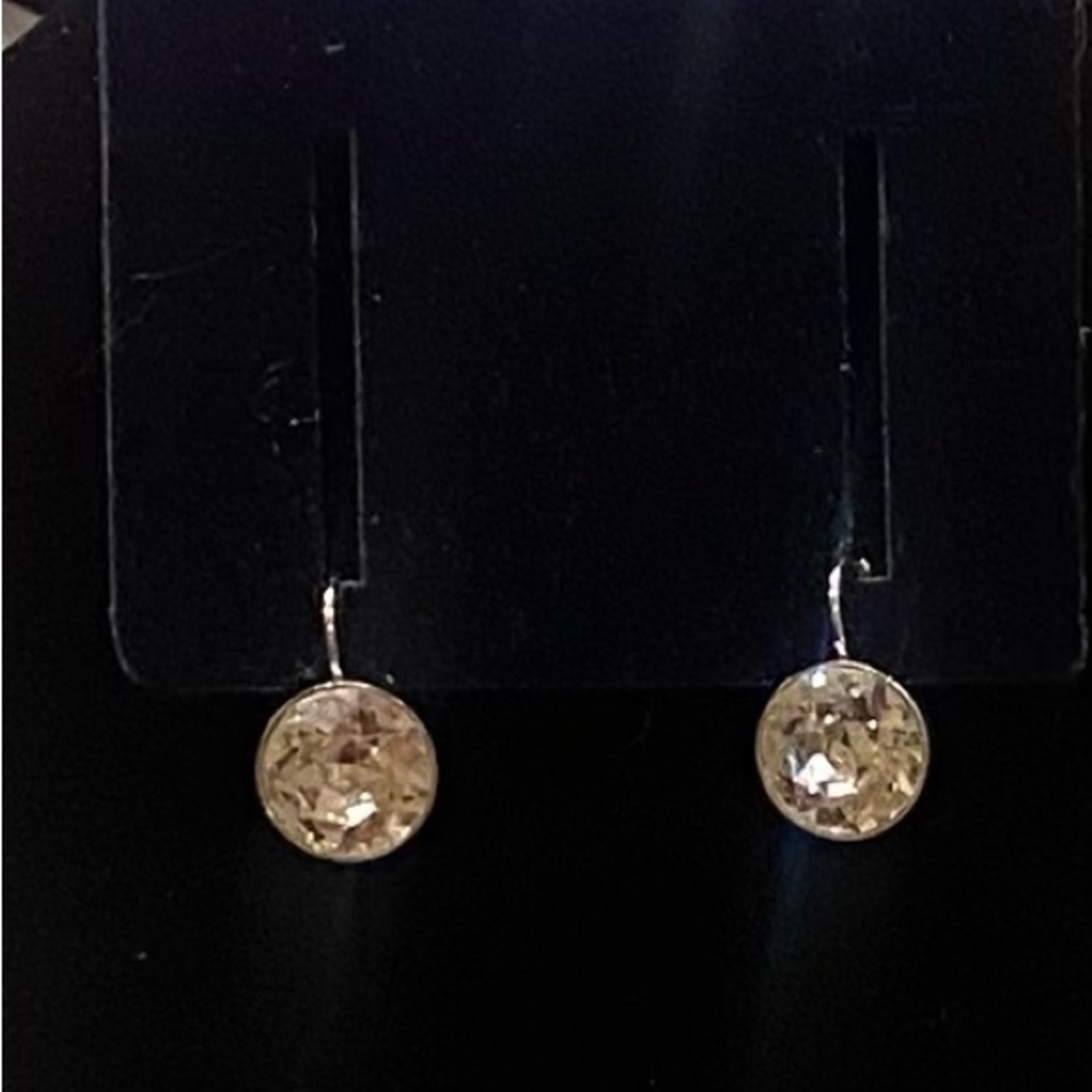 Elegant Silver Earrings